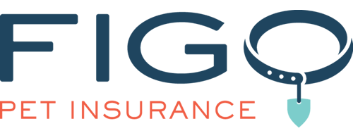 Figo Logo